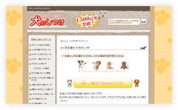 キュレーションサイト作成ツールのログイン画面